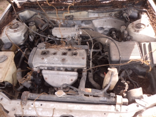 ขายเก๋ง TOYOTA COROLLA 1.3 ปี1995ขายตามสภาพ086-4457033ไม่ลดแล้วครับ