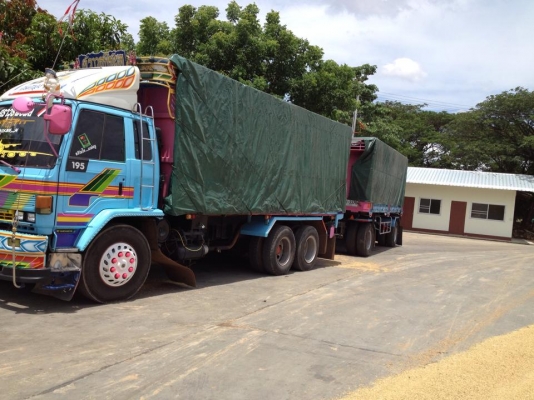 ขายร็อคกี้เดียว สภาพสวยๆ พร้อมใช้งาน ปรับราคาแล้ว