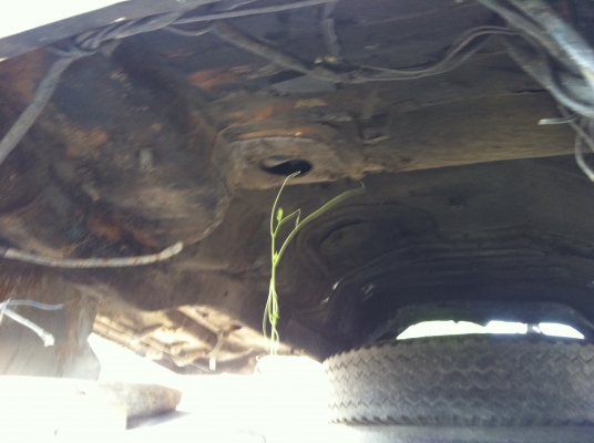 ขายหัวเก๋ง ยกลงจาก 10 ล้อ HINO F18