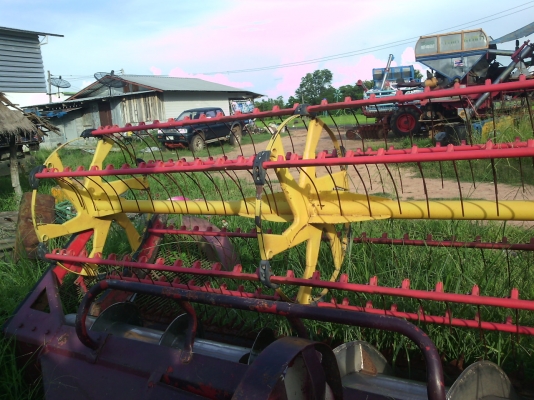 ขายลูกควักหรือลูกดาวศักดิ์พัฒนา ขายลูกควักหรือลูกดาวศักดิ์พัฒนา