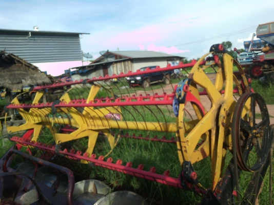 ขายลูกควักหรือลูกดาวศักดิ์พัฒนา