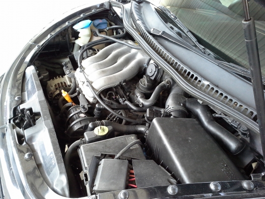 Volkswagen Beetle ปี05