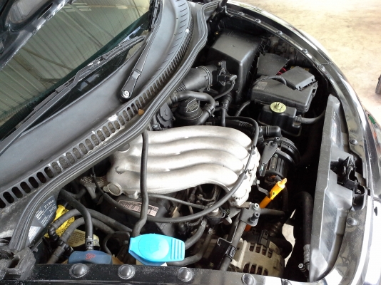 Volkswagen Beetle ปี05