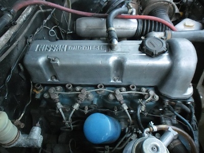 ขาย ดัสสัน แต่งสวยๆ