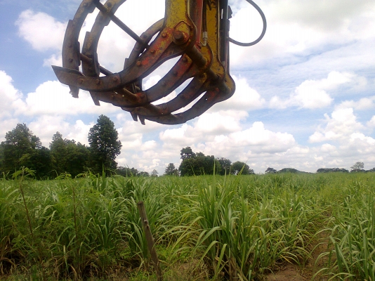 ขายชุดคีบหลังพร้อมชุดเกียร์ทอค์