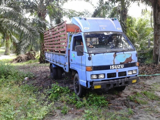 ขายรถ6ล้อบรรทุกอีซูซุ85แรงพร้อมใช้งาน
