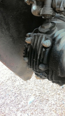 ดรีม100ปี43