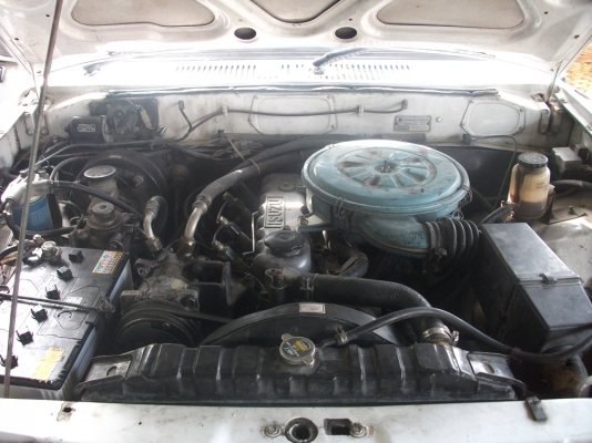 ขายด่วน