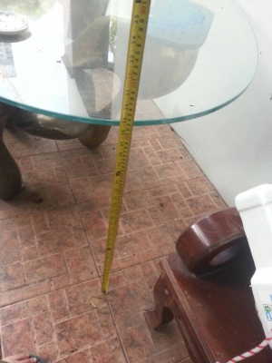 ขาย โต๊ะกระจกขาเป็นทองเหลือง ราคา 14000 ขาย โต๊ะกระจกขาเป็นทองเหลือง ราคา 14000