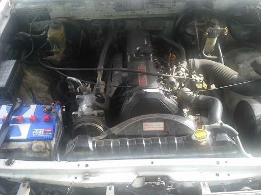 ขายไมตี้x หัวเดียว ขายไมตี้x หัวเดียว