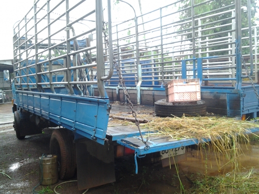 ISUZU KS เครื่อง 4BE1 Fหน้า ยกหัวได้ 110 แรงม้า กะบะยาว 5 เมตร ภาษีขาด 55 ISUZU KS เครื่อง 4BE1 Fหน้า ยกหัวได้ 110 แรงม้า กะบะยาว 5 เมตร ภาษีขาด 55