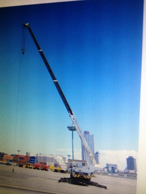 ขายรถเครน Tadano TR 250M-5 ขายรถเครน Tadano TR 250M-5