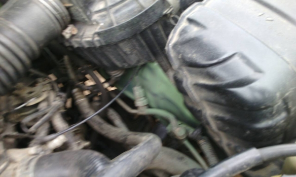 ขายด่วนรถไทเกอร์โฟเครือง3.000ปี42โฟใช้ได้ปกติรถทําสีมา ขายด่วนรถไทเกอร์โฟเครือง3.000ปี42โฟใช้ได้ปกติรถทําสีมา