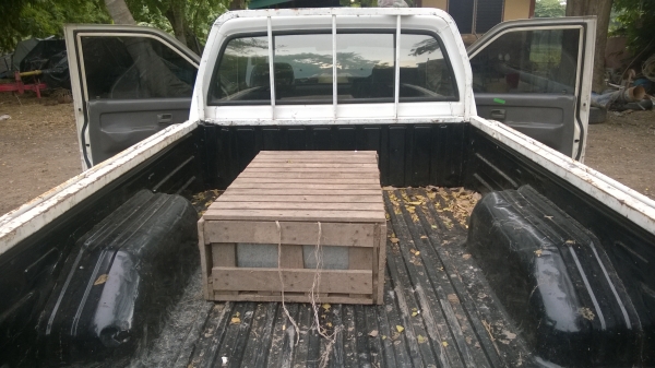 isuzu มังกรทอง TFR ตอนเดียว isuzu มังกรทอง TFR ตอนเดียว