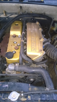 isuzu มังกรทอง TFR ตอนเดียว isuzu มังกรทอง TFR ตอนเดียว