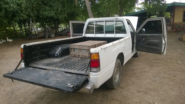 isuzu มังกรทอง TFR ตอนเดียว isuzu มังกรทอง TFR ตอนเดียว