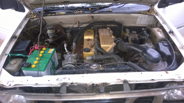 isuzu มังกรทอง TFR ตอนเดียว isuzu มังกรทอง TFR ตอนเดียว