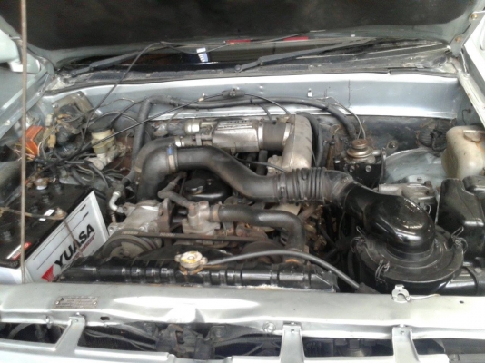 ด่วนด่วนครับ ขายมักรสักตัว