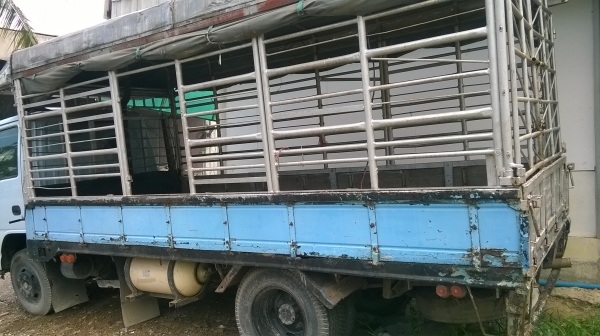 6 ล้อ หัวการ์ตูนเครื่อง 110 สีเทาฟ้า คอกเหล็ก หลังคามิเนียม ยาว 4 เมตร ยางขอบ 16 825 ติดแก๊ส  LPG ครัดซีดีเครื่องดี