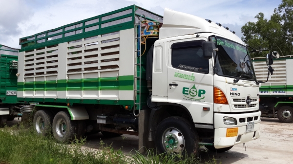 ประกาศนี้ ซื้อขายแล้ว!