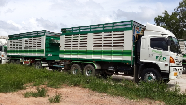 ประกาศนี้ ซื้อขายแล้ว!