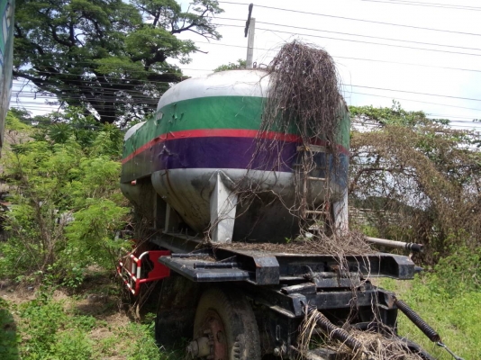 จองแล้ว 3 หางครับ มาอีกแล้วครับของดีราคาถูก หางพ่วง เต้าปูน มี 10 หางครับ เปิดจองเลยครับ(ราคานี้ไม่รวมเต้าปูนครับ)