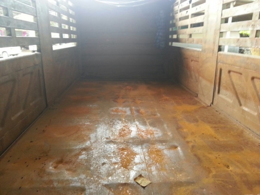 รถฮีโน่ 10 ล้อดั้ม 320 แรงม้า. ปี 51 ( ขายแม่ , ลูก ) สนใจติดต่อ 081 - 6079515 รถฮีโน่ 10 ล้อดั้ม 320 แรงม้า. ปี 51 ( ขายแม่ , ลูก ) สนใจติดต่อ 081 - 6079515