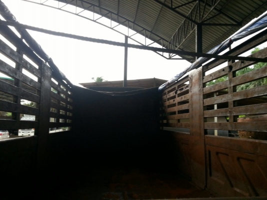 รถฮีโน่ 10 ล้อดั้ม 320 แรงม้า. ปี 51 ( ขายแม่ , ลูก ) สนใจติดต่อ 081 - 6079515 รถฮีโน่ 10 ล้อดั้ม 320 แรงม้า. ปี 51 ( ขายแม่ , ลูก ) สนใจติดต่อ 081 - 6079515