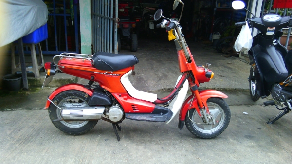 ขายhonda ชาลี 50 cc ออโต 9500  บาท