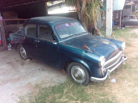 ________ขาย hillman สายพันธ์อังกฤษ_____ ________ขาย hillman สายพันธ์อังกฤษ_____