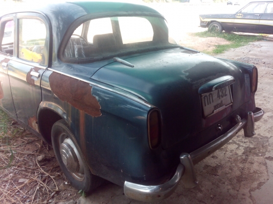 ________ขาย hillman สายพันธ์อังกฤษ_____ ________ขาย hillman สายพันธ์อังกฤษ_____