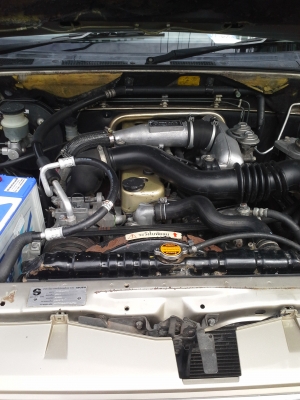 ขาย ISUZU DRAGON TURBO ปี2001 ไฟซีนอล ขาย ISUZU DRAGON TURBO ปี2001 ไฟซีนอล