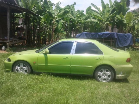 ขายด่วน Honda Civic 1.6 หัวฉีด ปี95 เครื่องดีเกียร์ดี จบราคานี้ต่อทะเบียนให้ฟรี