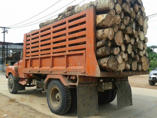 ขายด่วน 6 ล้อดั้ม ขายด่วน 6 ล้อดั้ม