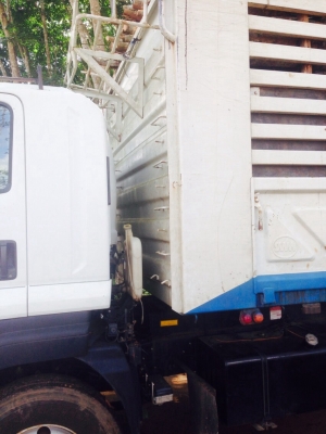 ขายรถ10ล้อดั้ม ISUZU MP1FXZ7779T เครื่อง 360 แรงม้า สนใจโทร 081-9701072
