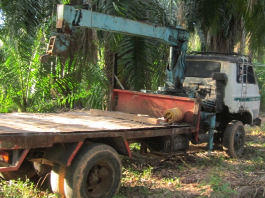 ต้องการขายรถ6ล้อISUZU ติดเครนTADANO 4ตัน