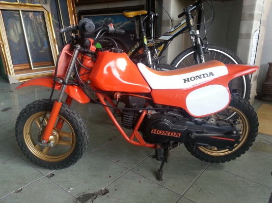 ขายวิบากเด็กhonda qr50ccลดเหลือ17000
