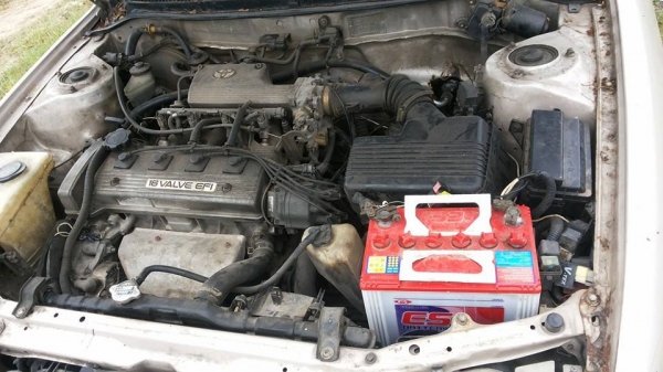 ขายโตต้า 3 ห่วง ขายโตต้า 3 ห่วง