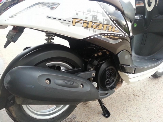 ฟีลาโน่ ปี 55