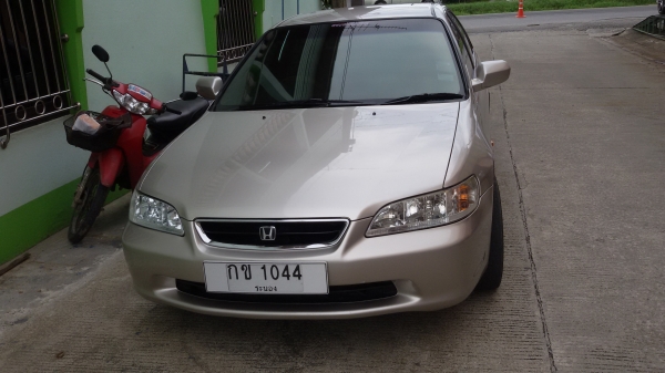 ขาย แอคคอร์ด