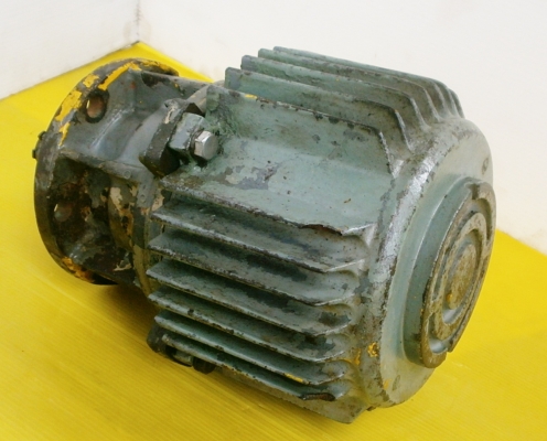 มอเตอร์ขาวิ่งรอกไฟฟ้า