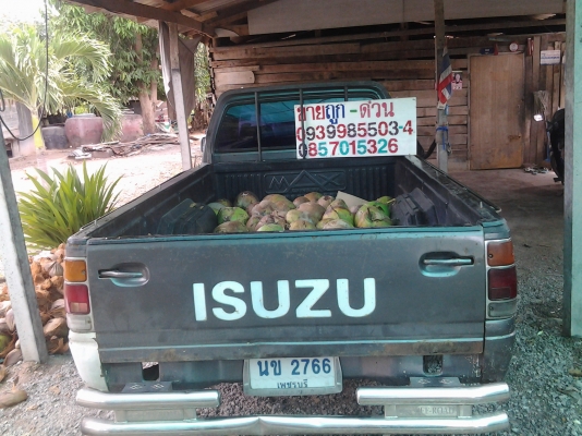 ขายisuzu TFR 90