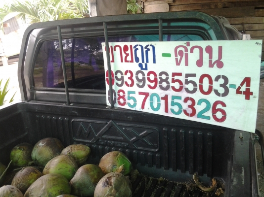 ขายisuzu TFR 90