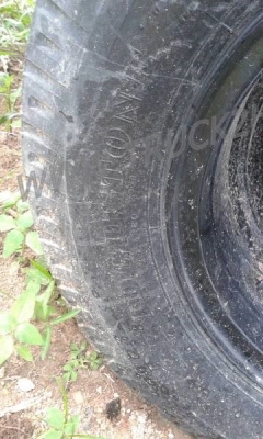 รถบรรทุก 6 ล้อ ISUZU ELF250  88 แรงม้า