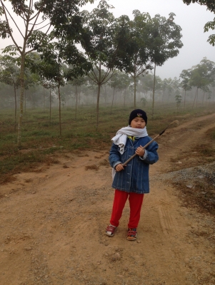 ขายบ้าน+สวนยางพารา 100 ไร่