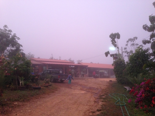 ขายบ้าน+สวนยางพารา 100 ไร่