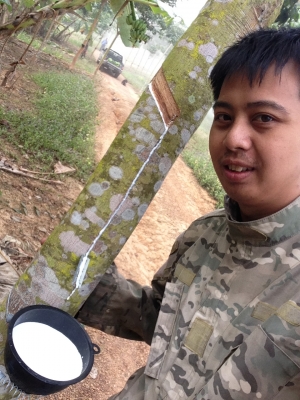 ขายบ้าน+สวนยางพารา 100 ไร่