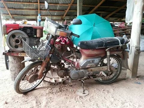 ขาย honda คัสต้อม 90 cc เล่มพร้อมโอน