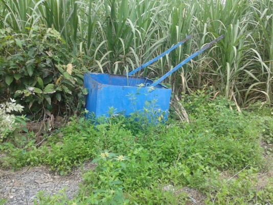 คีบอ้อยบาร์คู่อุปกรณ์พร้อมราคาไม่แพง พร้อมไช้ใช์งานได้บกติ