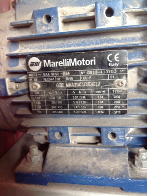 หอยโข่ง MASSIVE